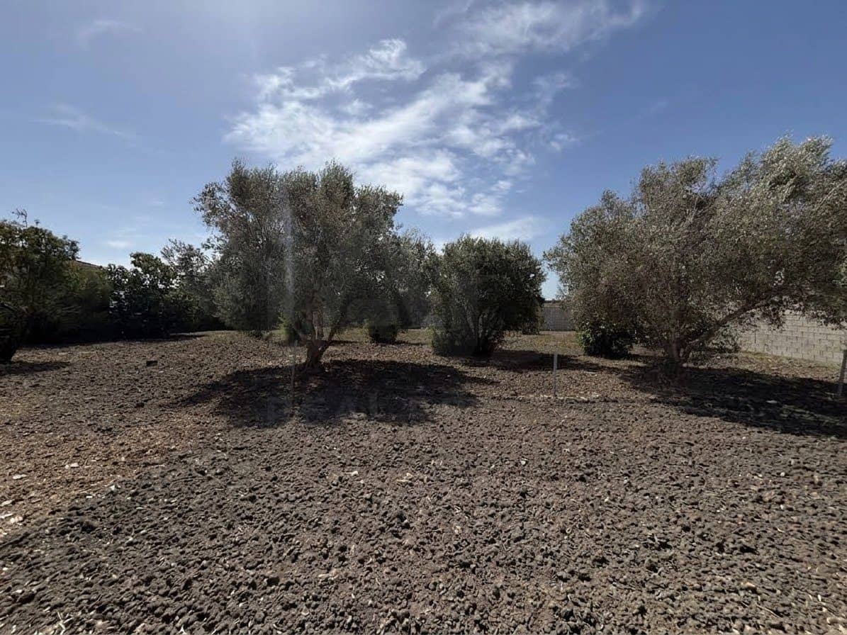 Rakentamaton maa myytävänä paikassa Chiclana de la Frontera - 85 000 € (Ref: 10049833)