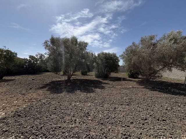 Rakentamaton maa myytävänä paikassa Chiclana de la Frontera - 85 000 € (Ref: 10049833)