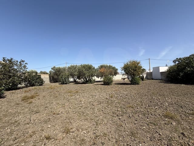 Rakentamaton maa myytävänä paikassa Chiclana de la Frontera - 85 000 € (Ref: 10049833)