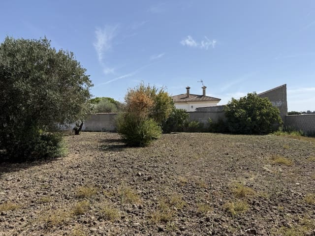 Rakentamaton maa myytävänä paikassa Chiclana de la Frontera - 85 000 € (Ref: 10049833)