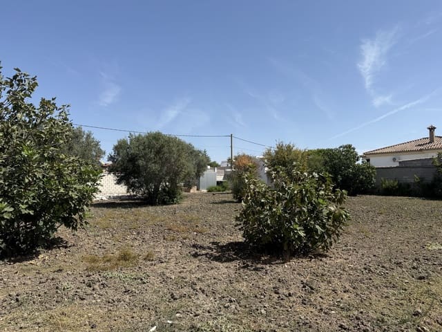 Rakentamaton maa myytävänä paikassa Chiclana de la Frontera - 85 000 € (Ref: 10049833)