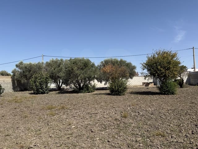 Rakentamaton maa myytävänä paikassa Chiclana de la Frontera - 85 000 € (Ref: 10049833)
