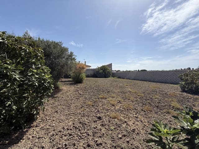 Rakentamaton maa myytävänä paikassa Chiclana de la Frontera - 85 000 € (Ref: 10049833)