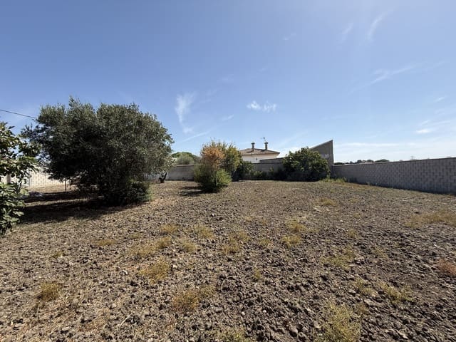 Rakentamaton maa myytävänä paikassa Chiclana de la Frontera - 85 000 € (Ref: 10049833)