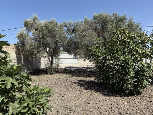 Terreno Não Urbanizado para venda em Chiclana de la Frontera - 85 000 € (Ref: 10049833)