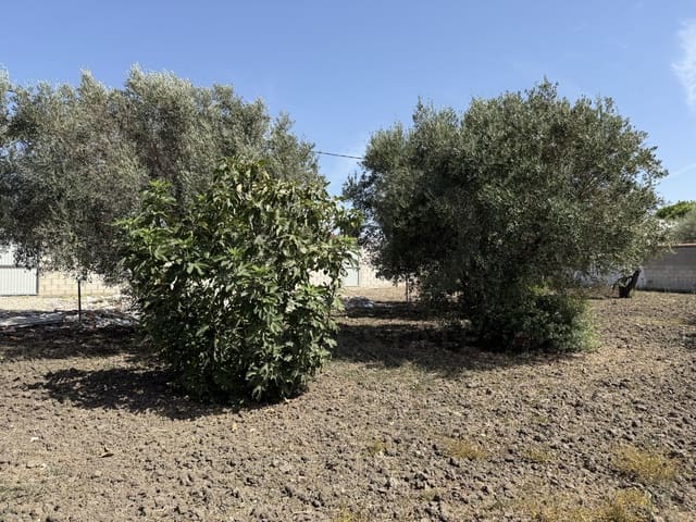 Terreno Não Urbanizado para venda em Chiclana de la Frontera - 85 000 € (Ref: 10049833)