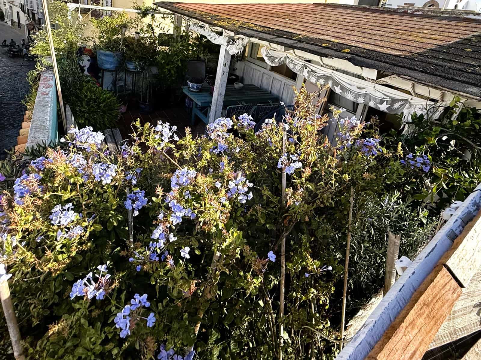 1 camera da letto Attico in vendita in Tarifa - 261.000 € (Rif: 10049917)