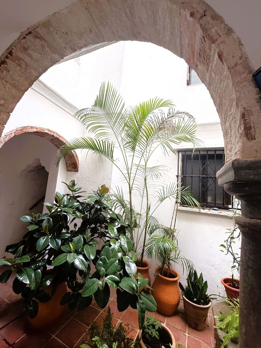 1 camera da letto Attico in vendita in Tarifa - 261.000 € (Rif: 10049917)