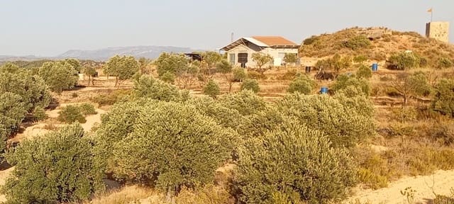 Finca/Casa Rural en Riba-roja d'Ebre en venta - 150.000 € (Ref: 10052110)