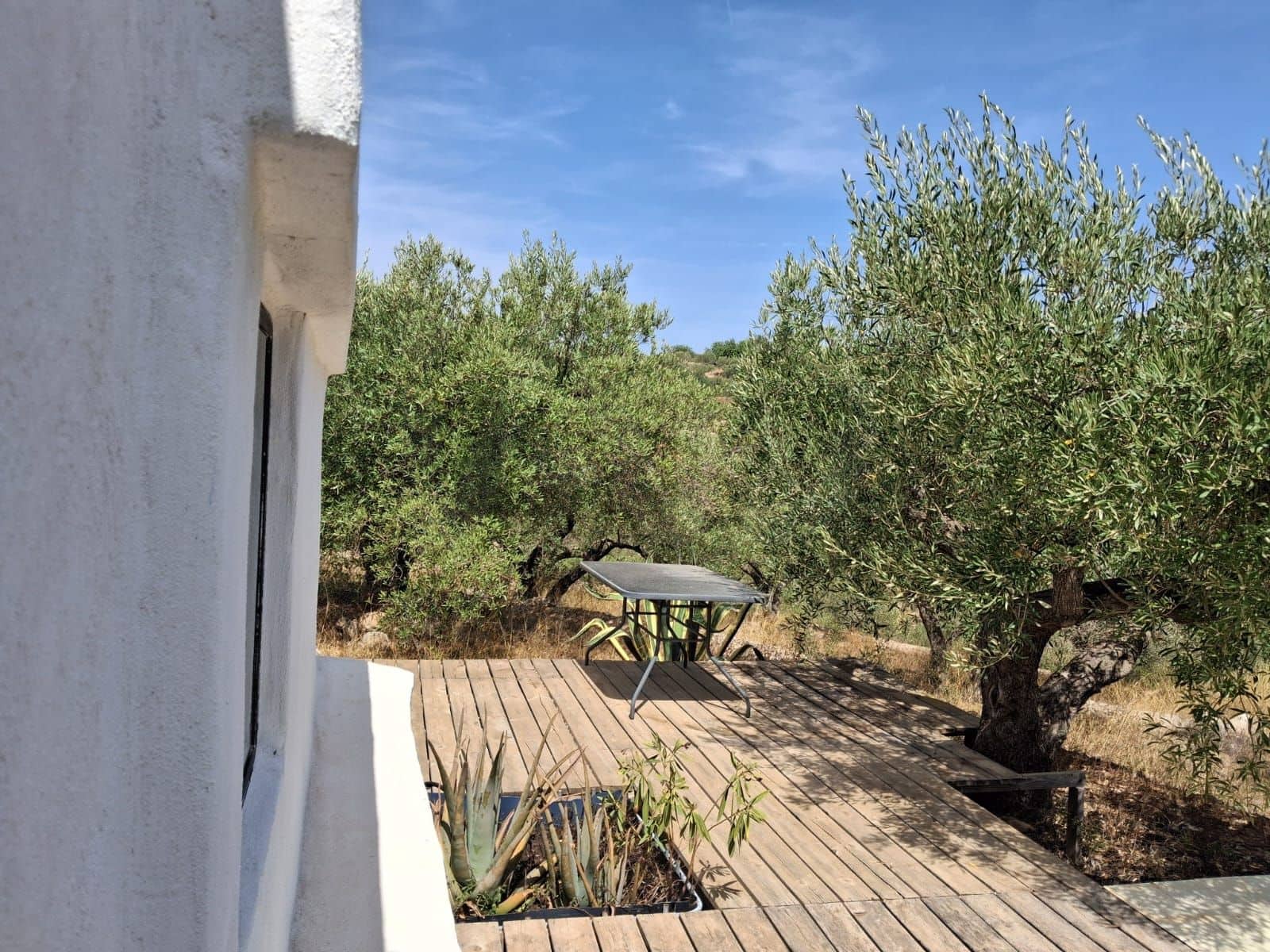 Ubebygd land til salgs i Camp-redo - € 110 000 (Ref: 10054552)
