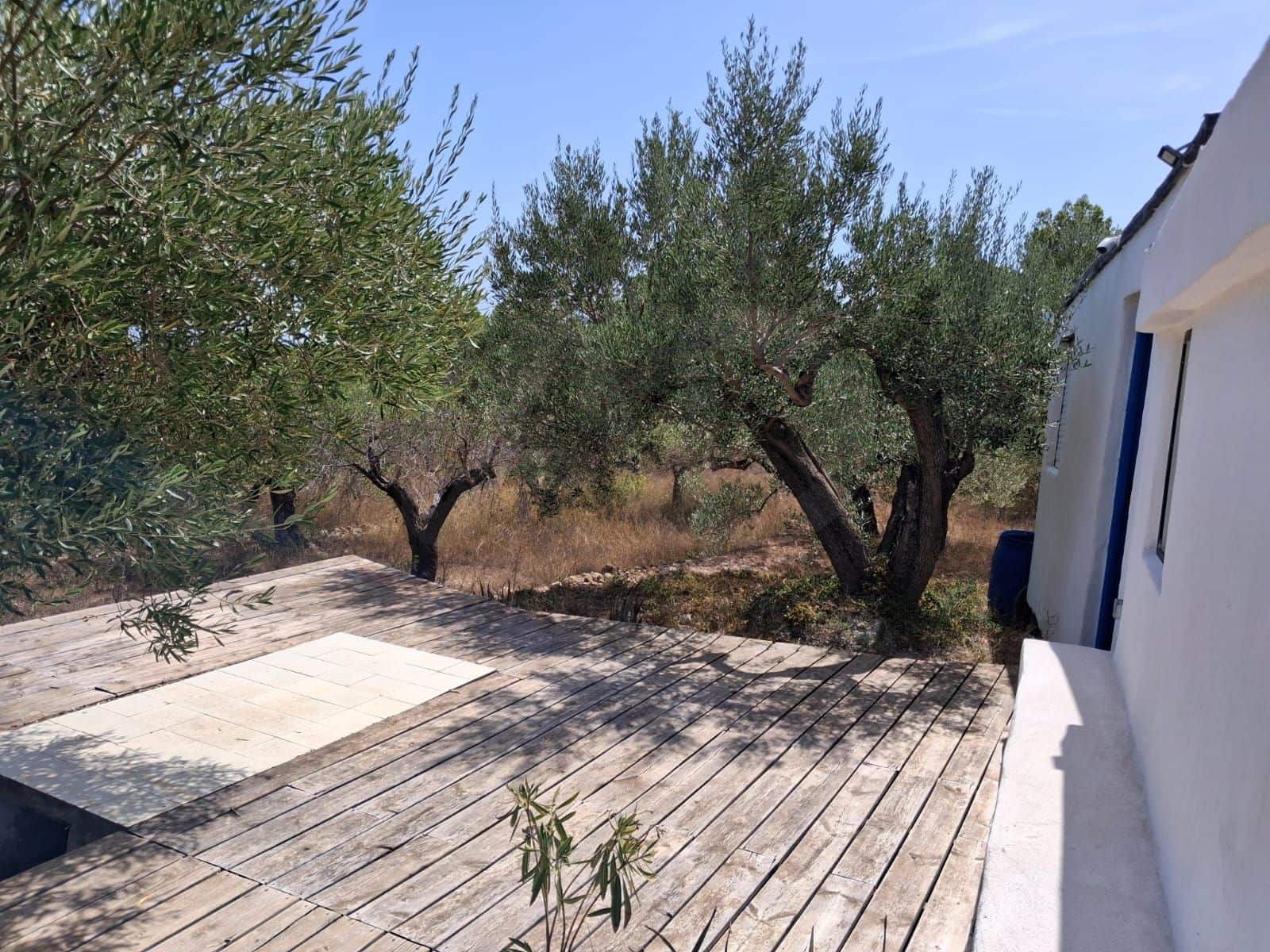 Ubebygd land til salgs i Camp-redo - € 110 000 (Ref: 10054552)