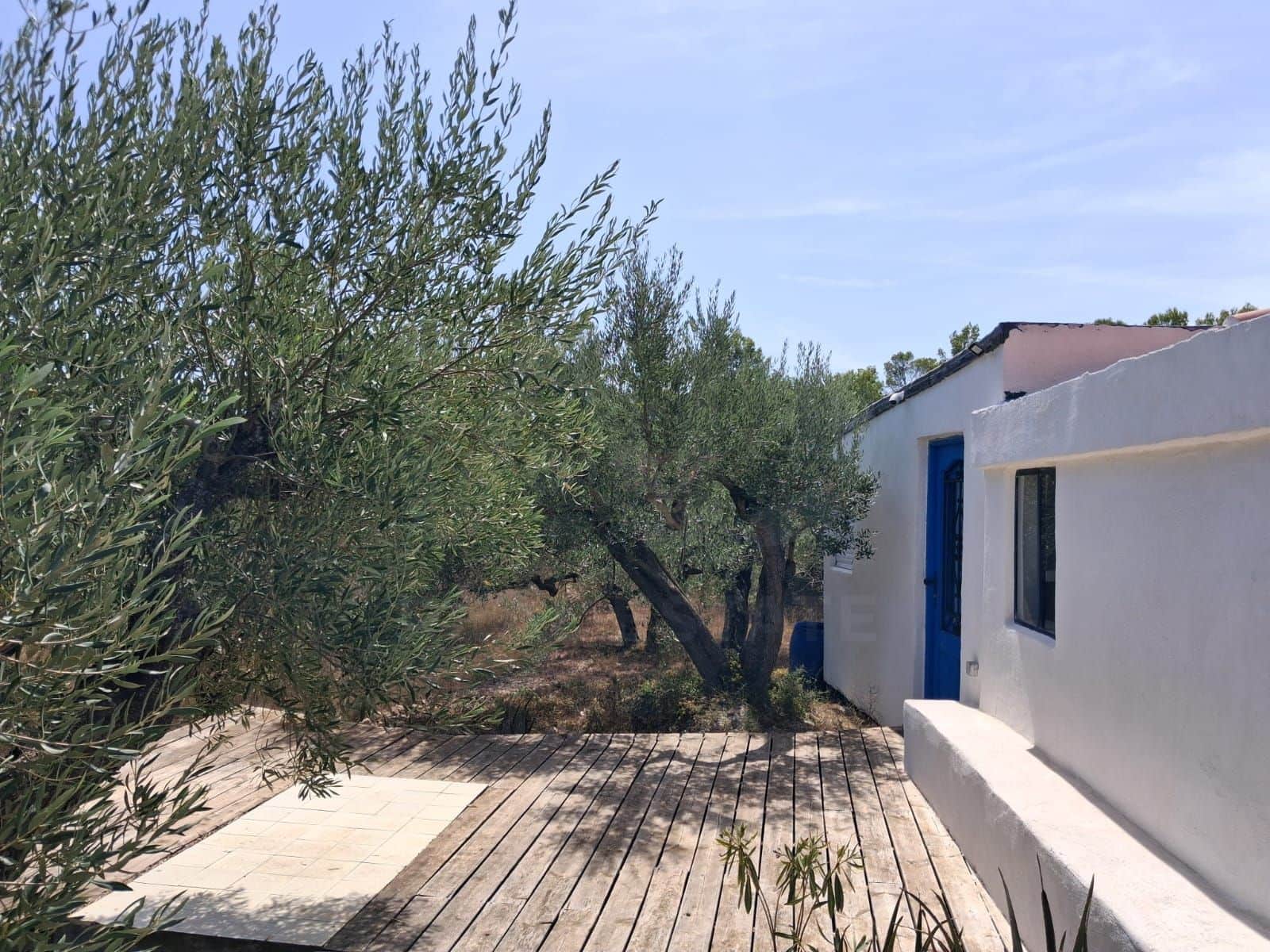 Ubebygd land til salgs i Camp-redo - € 110 000 (Ref: 10054552)