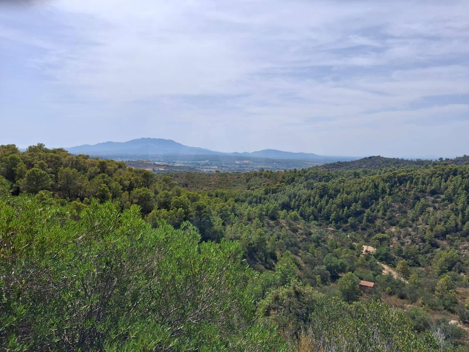 Ubebygd land til salgs i Camp-redo - € 110 000 (Ref: 10054552)