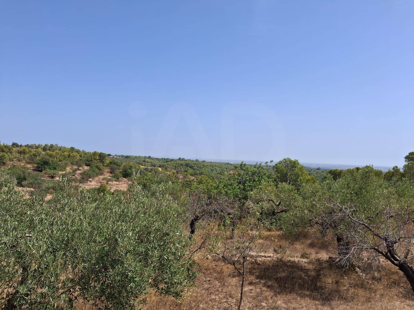 Ubebygd land til salgs i Camp-redo - € 110 000 (Ref: 10054552)