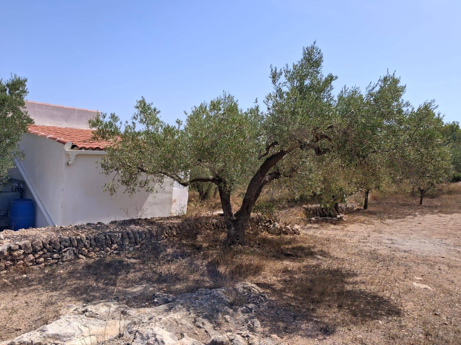 Ubebygd land til salgs i Camp-redo - € 110 000 (Ref: 10054552)