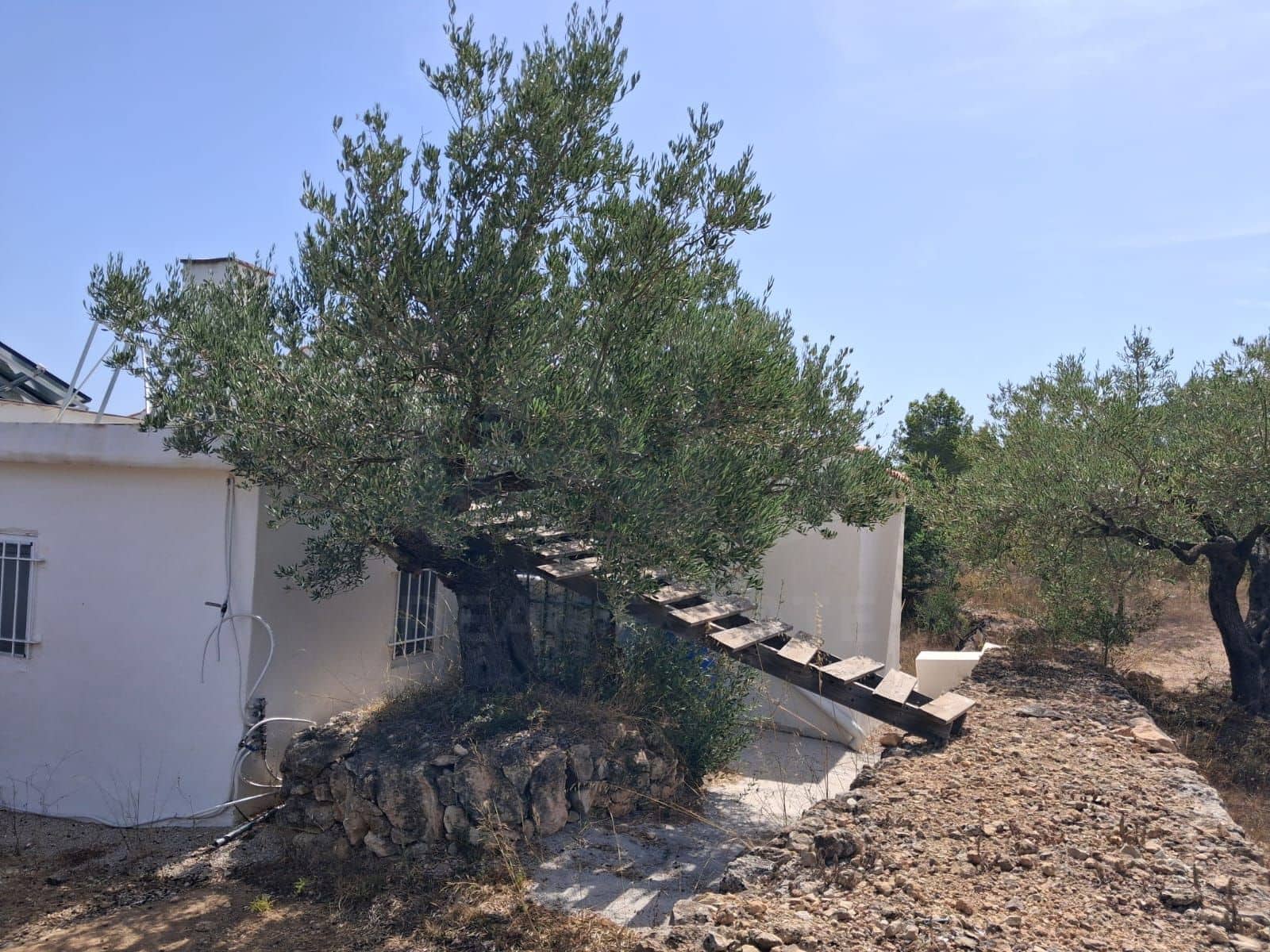 Ubebygd land til salgs i Camp-redo - € 110 000 (Ref: 10054552)