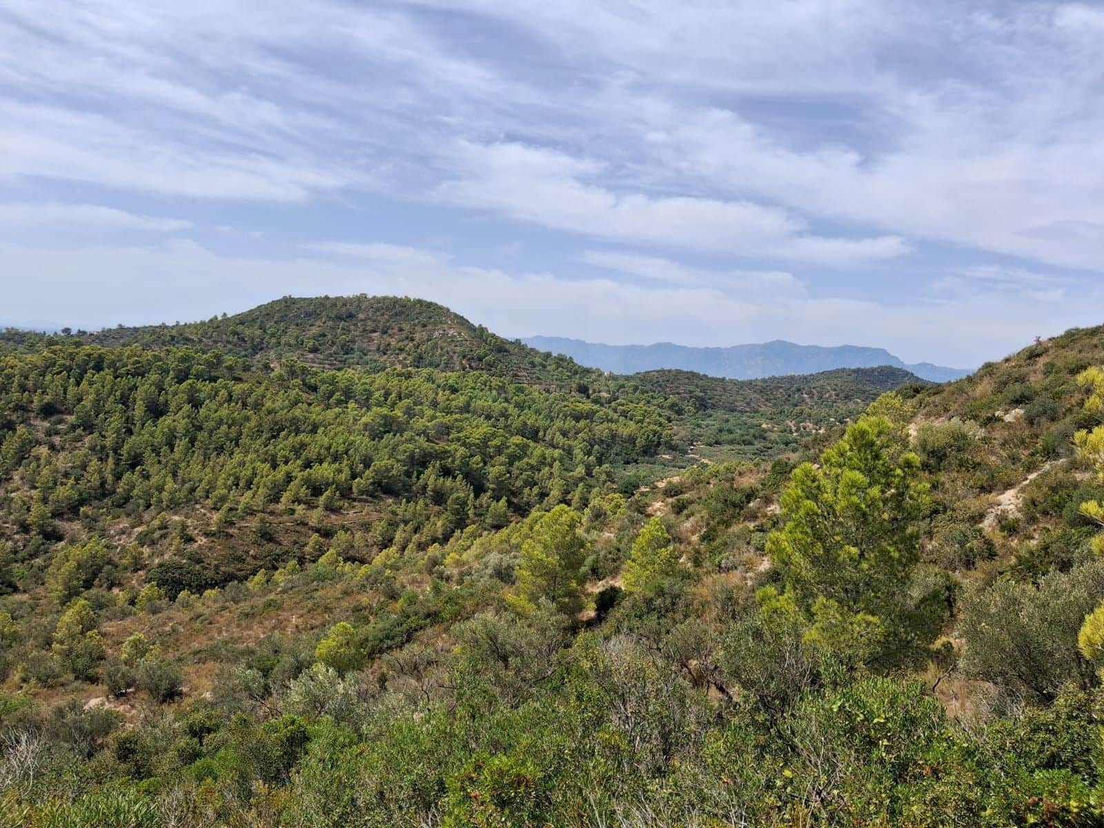 Ubebygd land til salgs i Camp-redo - € 110 000 (Ref: 10054552)
