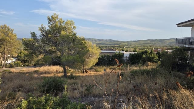 Terrain à Bâtir à vendre à La Bisbal del Penedès - 37 000 € (Ref: 10055342)