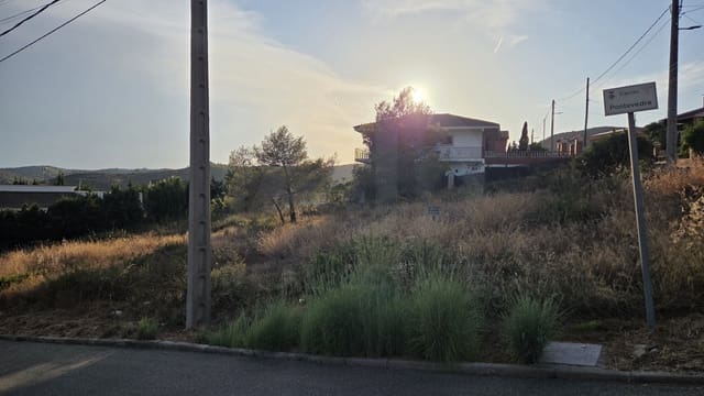 Bouwgrond te koop in La Bisbal del Penedès - € 74.000 (Ref: 10055343)