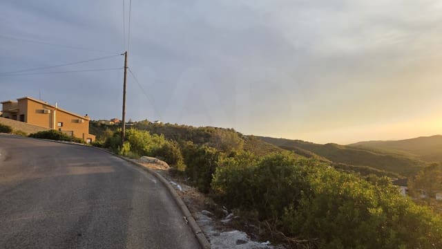Bouwgrond te koop in La Bisbal del Penedès - € 26.000 (Ref: 10055346)