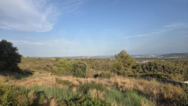 Byggetomt til salgs i La Bisbal del Penedès - € 39 000 (Ref: 10055347)