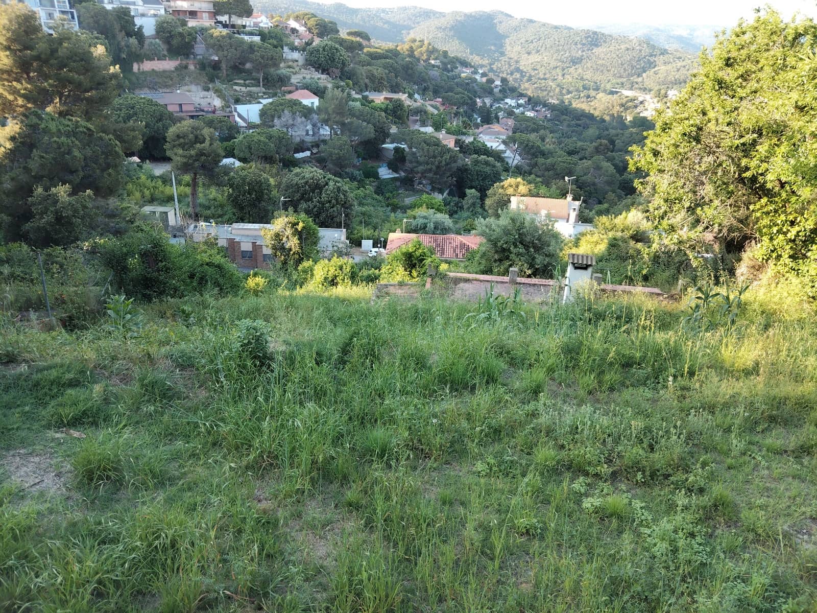 Bauplatz zu verkaufen in Argentona - 69.000 € (Ref: 10057375)