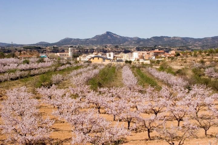 Apartamento de 2 habitaciones en Móra la Nova en venta - 125.000 € (Ref: 10060668)