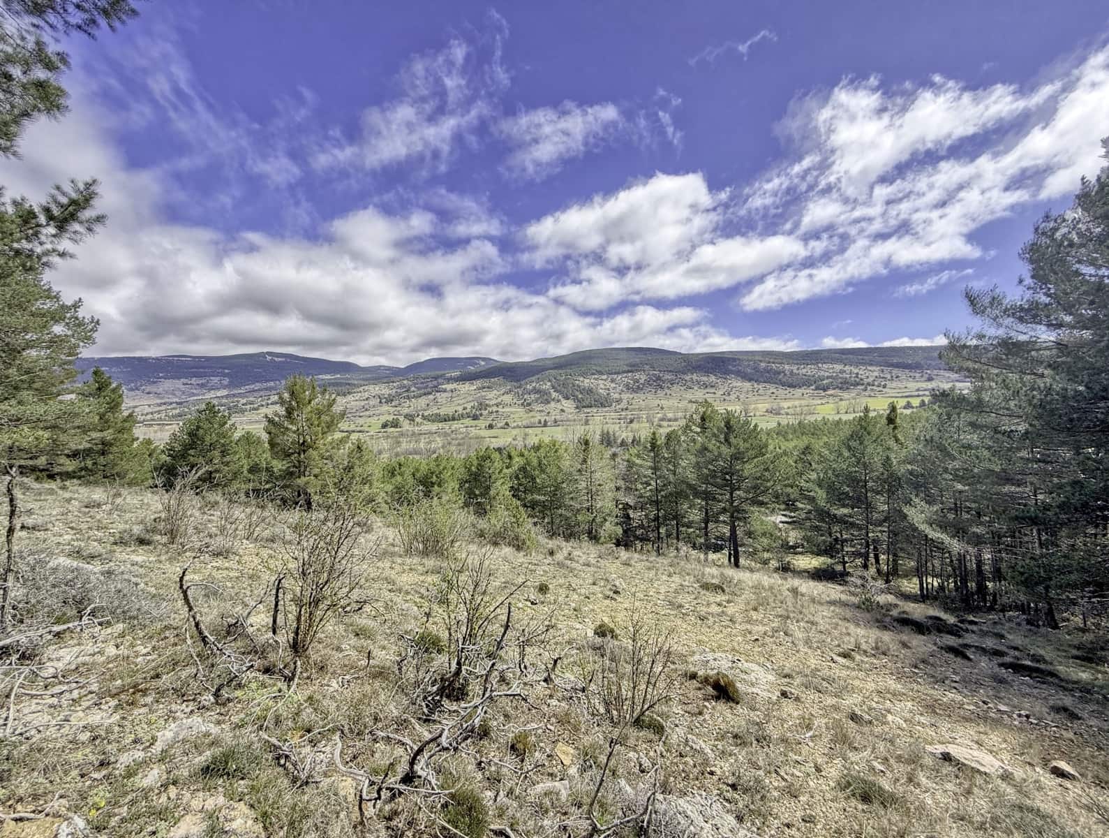Terreno/Finca Rústica en Alcalá de la Selva en venta - 100.000 € (Ref: 10060670)