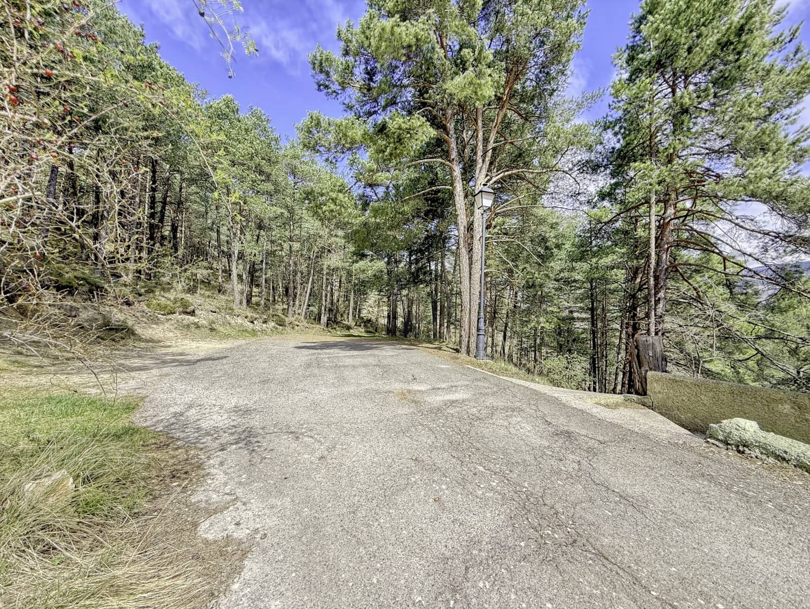 Terreno/Finca Rústica en Alcalá de la Selva en venta - 100.000 € (Ref: 10060670)