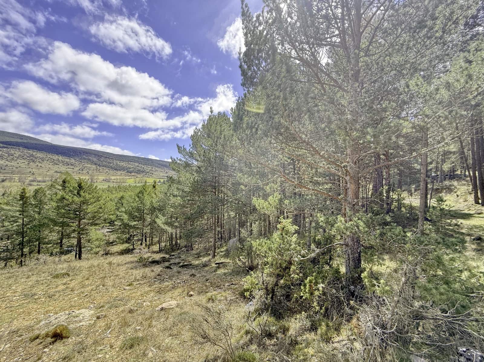 Terreno/Finca Rústica en Alcalá de la Selva en venta - 100.000 € (Ref: 10060670)