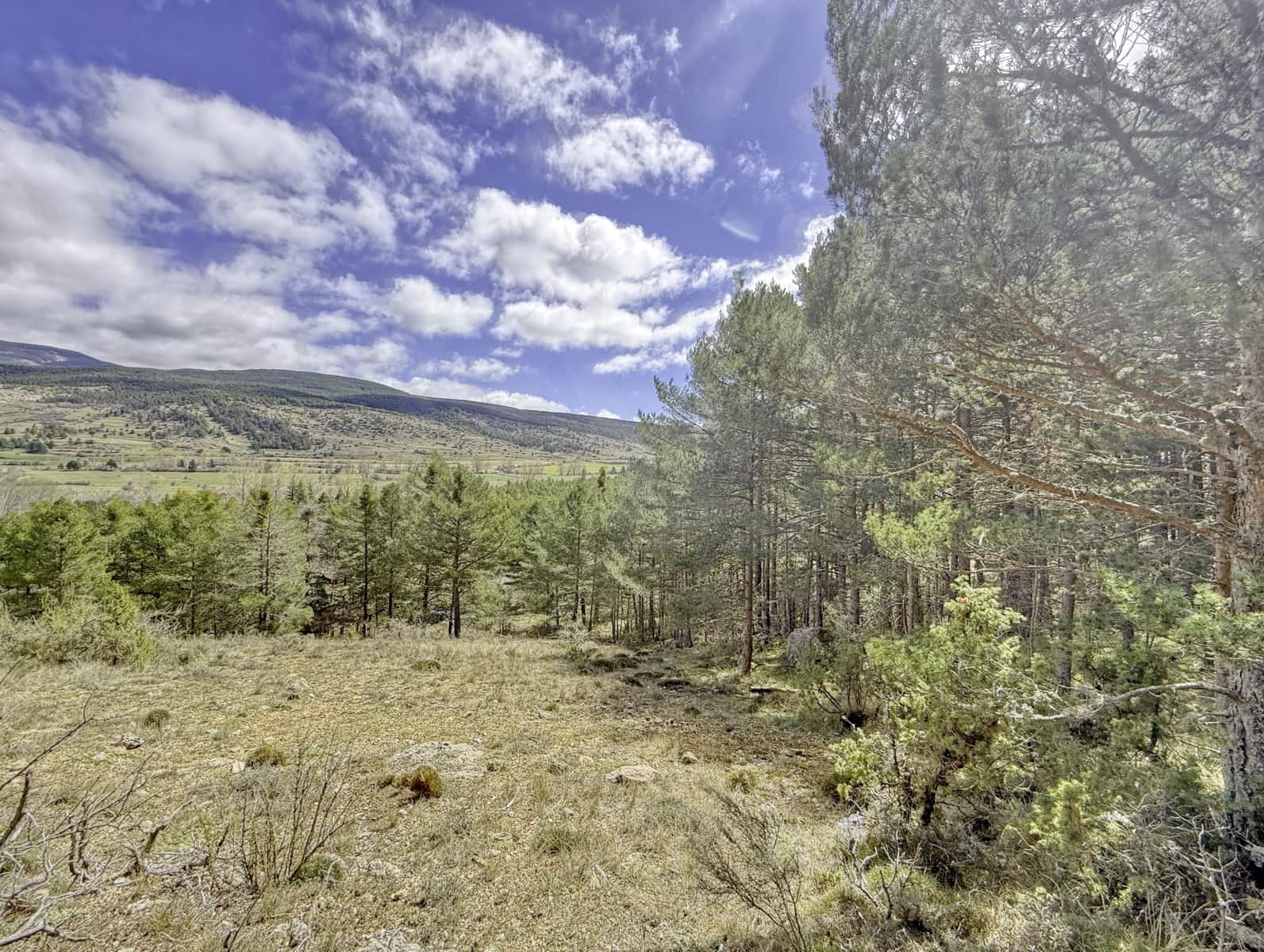Terreno/Finca Rústica en Alcalá de la Selva en venta - 100.000 € (Ref: 10060670)