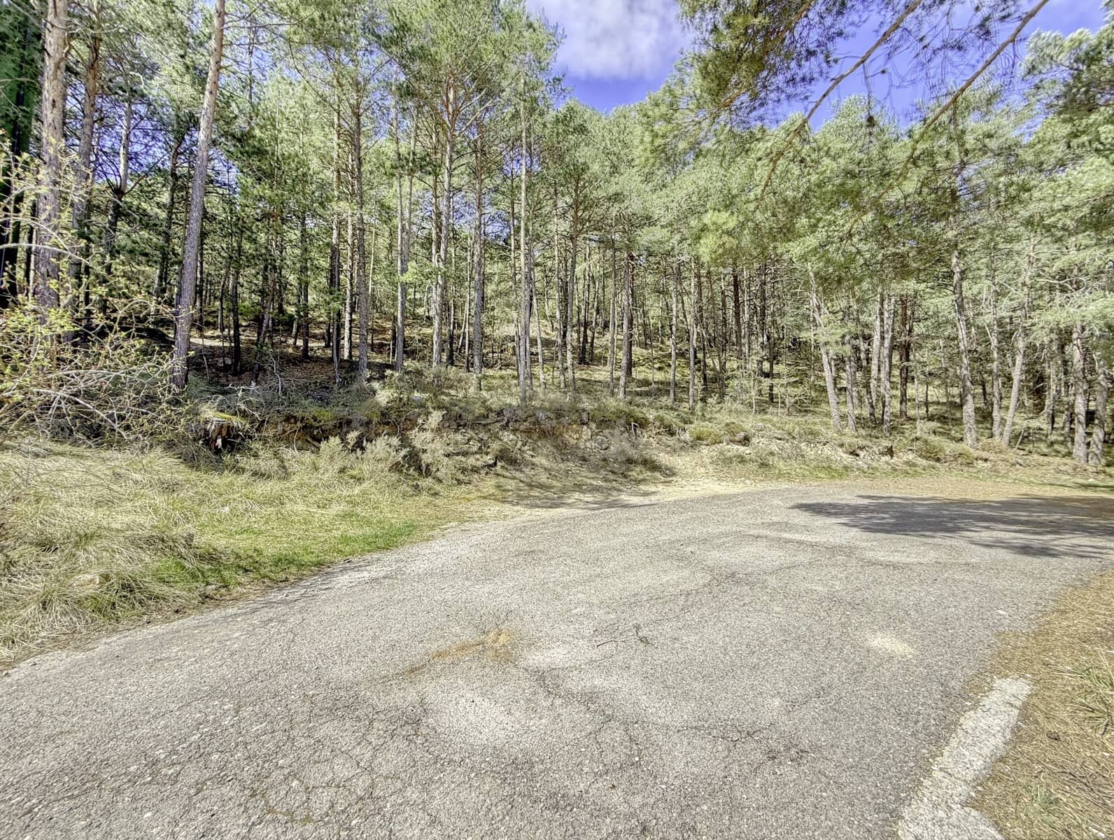 Terreno/Finca Rústica en Alcalá de la Selva en venta - 100.000 € (Ref: 10060670)