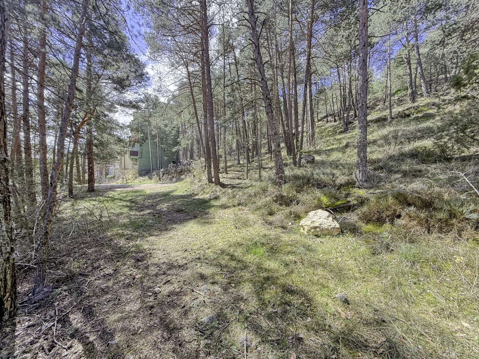 Terreno/Finca Rústica en Alcalá de la Selva en venta - 100.000 € (Ref: 10060670)