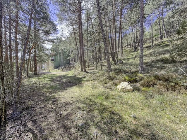 Terreno/Finca Rústica en Alcalá de la Selva en venta - 100.000 € (Ref: 10060670)