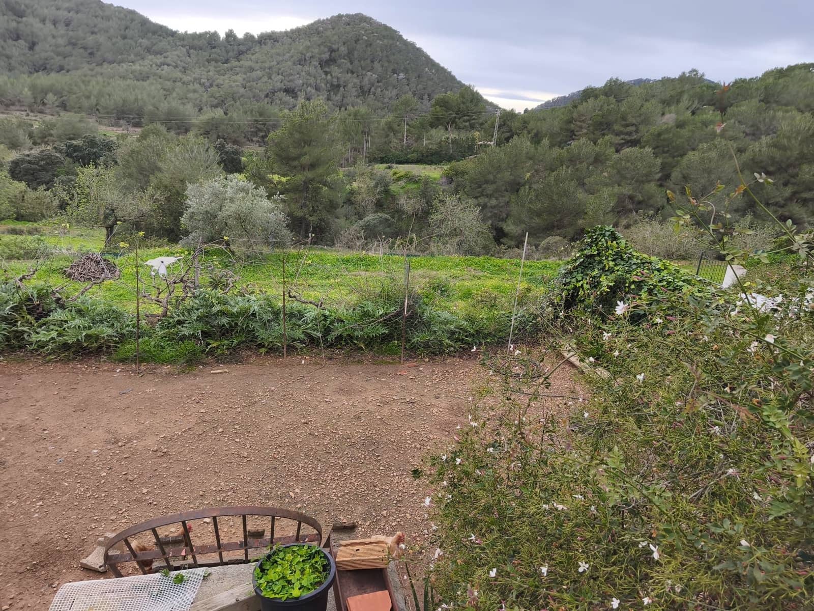 2 makuuhuone Maalaistalo myytävänä paikassa San Jose / Sant Josep de Sa Talaia mukana uima-altaan - 1 600 000 € (Ref: 10061106)
