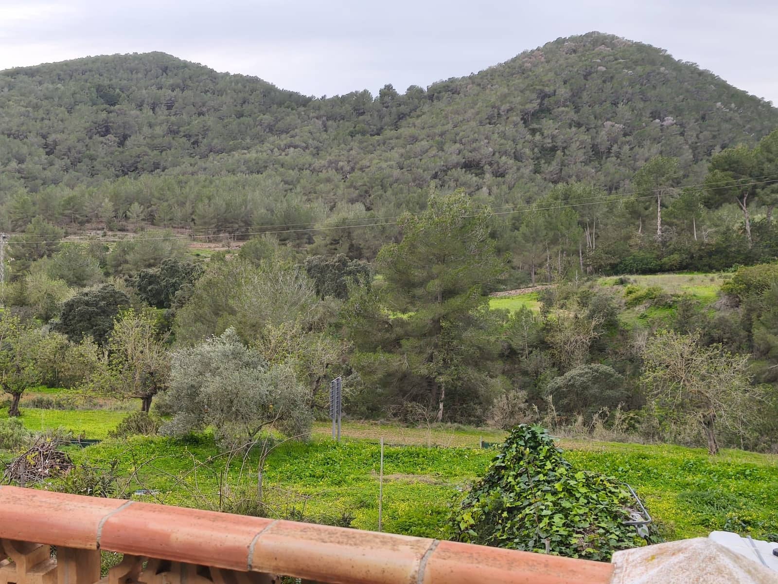 2 makuuhuone Maalaistalo myytävänä paikassa San Jose / Sant Josep de Sa Talaia mukana uima-altaan - 1 600 000 € (Ref: 10061106)