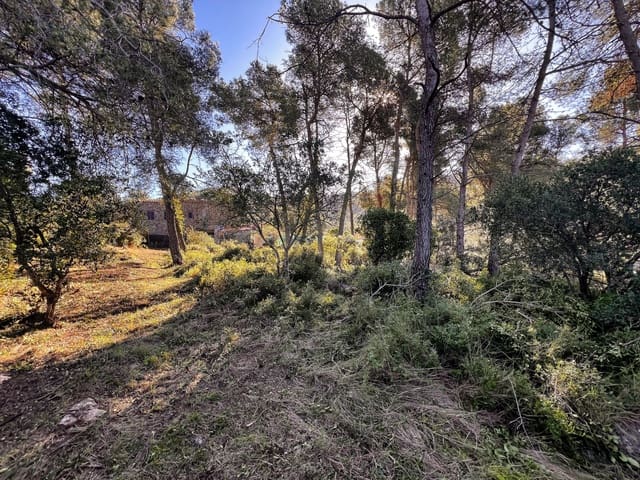 Tontti myytävänä paikassa Vallirana - 57 900 € (Ref: 10062879)