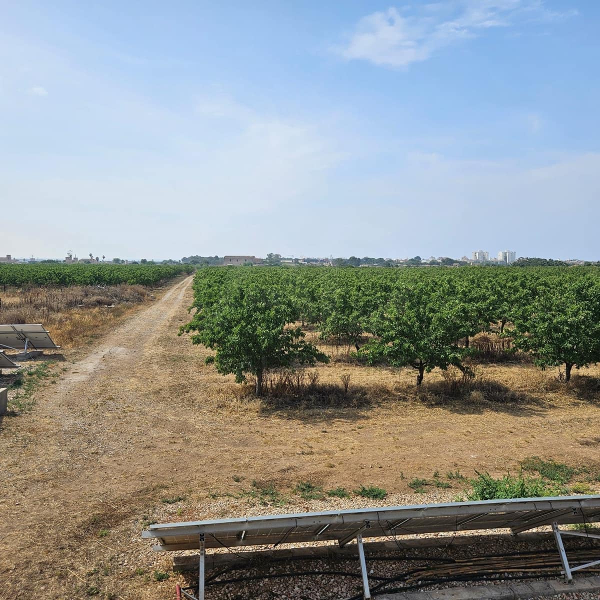 Finka/Dom wiejski na sprzedaż w Palma de Mallorca z garażem - 8 500 000 € (Ref: 10062885)