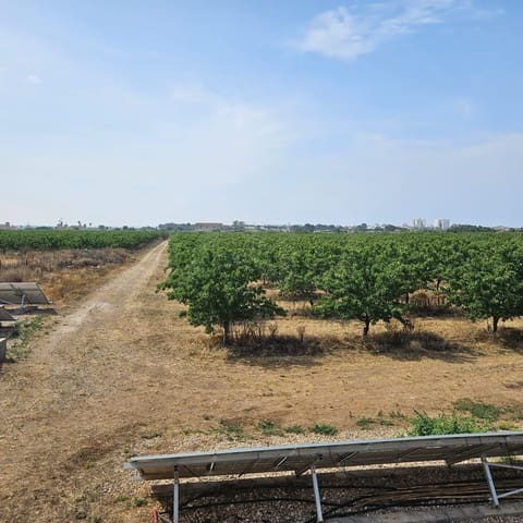 Finka/Dom wiejski na sprzedaż w Aeroport, Palma de Mallorca z garażem - 8 500 000 € (Ref: 10062885)