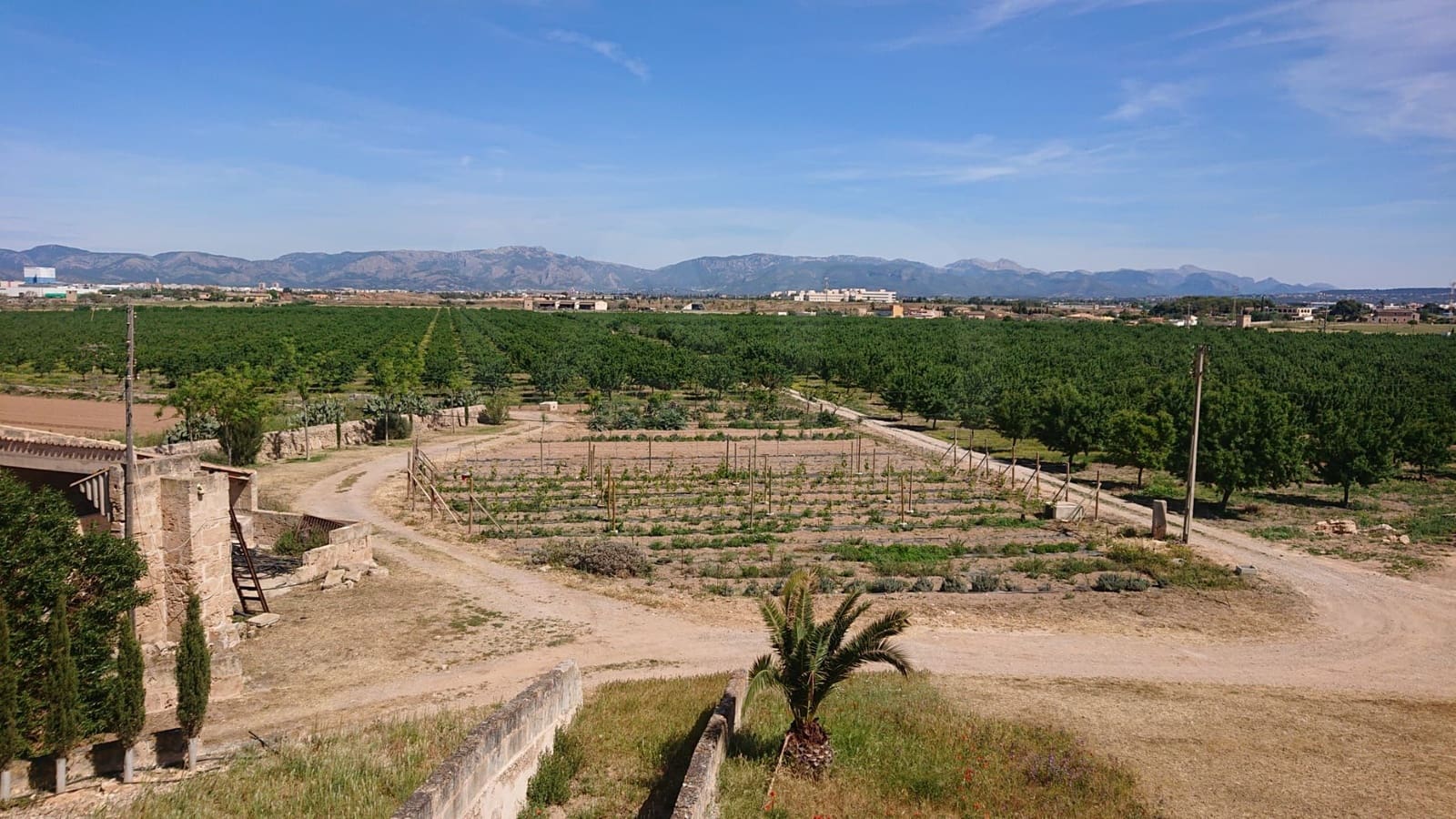 Finka/Dom wiejski na sprzedaż w Palma de Mallorca z garażem - 8 500 000 € (Ref: 10062885)
