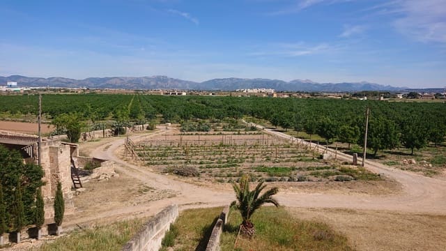 Finka/Dom wiejski na sprzedaż w Aeroport, Palma de Mallorca z garażem - 8 500 000 € (Ref: 10062885)