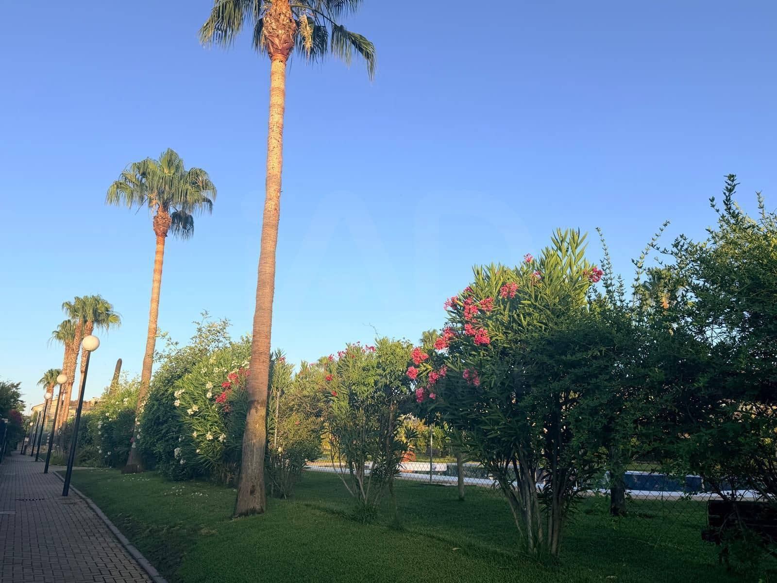 4 Zimmer Reihenhaus zu verkaufen in Jerez de la Frontera mit Pool - 410.000 € (Ref: 10062886)