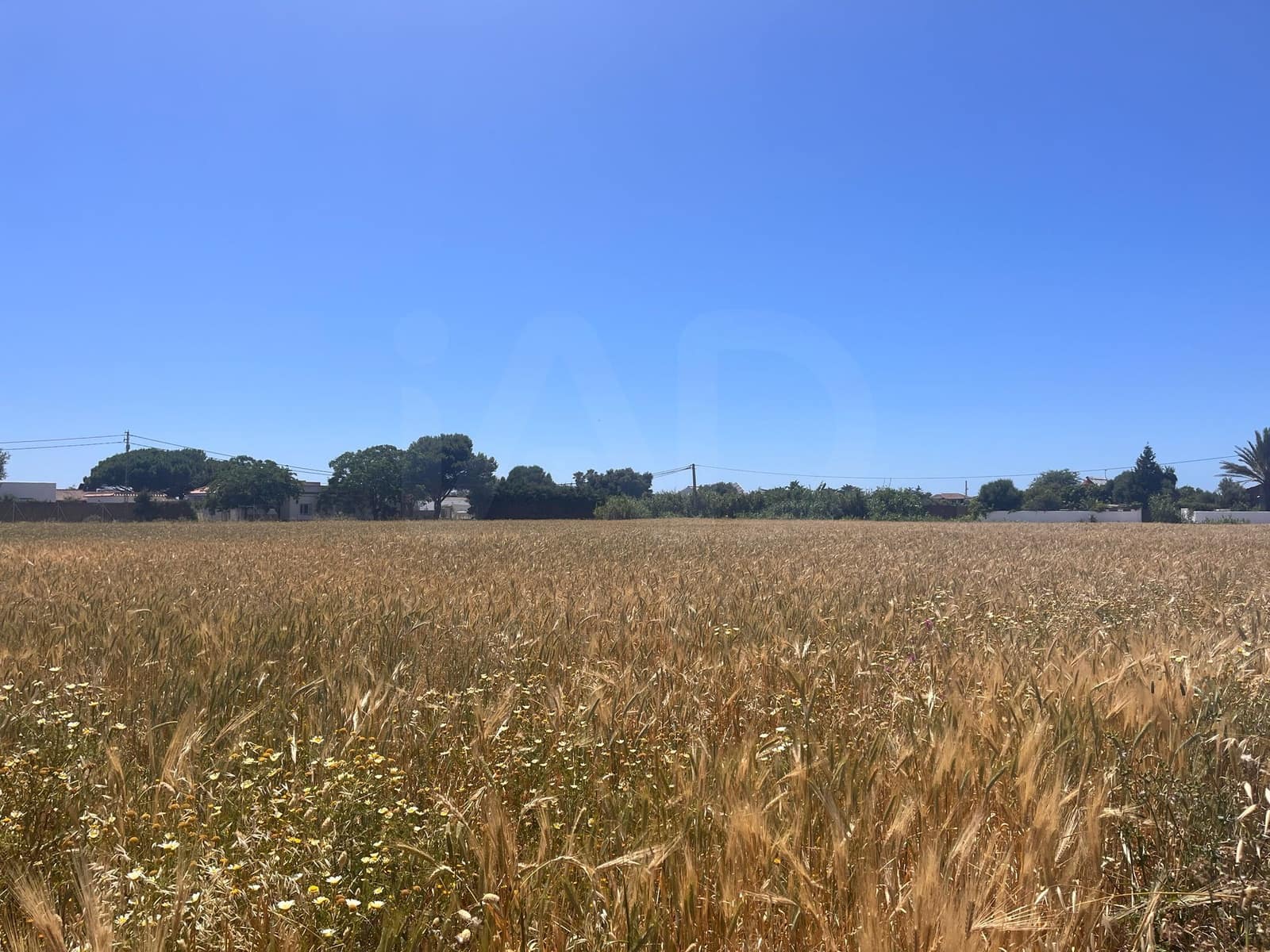 Terreno/Finca Rústica en Vejer de la Frontera en venta - 250.000 € (Ref: 10062890)