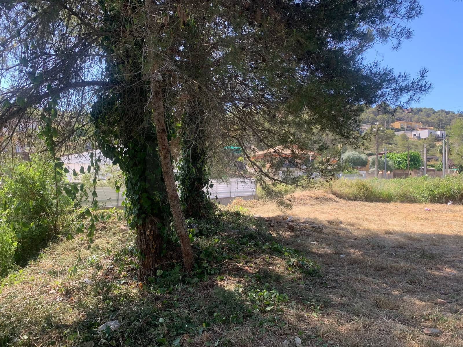 Bauplatz zu verkaufen in Canyelles - 75.000 € (Ref: 10065655)
