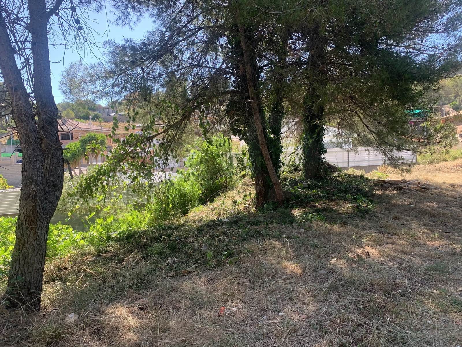 Bauplatz zu verkaufen in Canyelles - 75.000 € (Ref: 10065655)