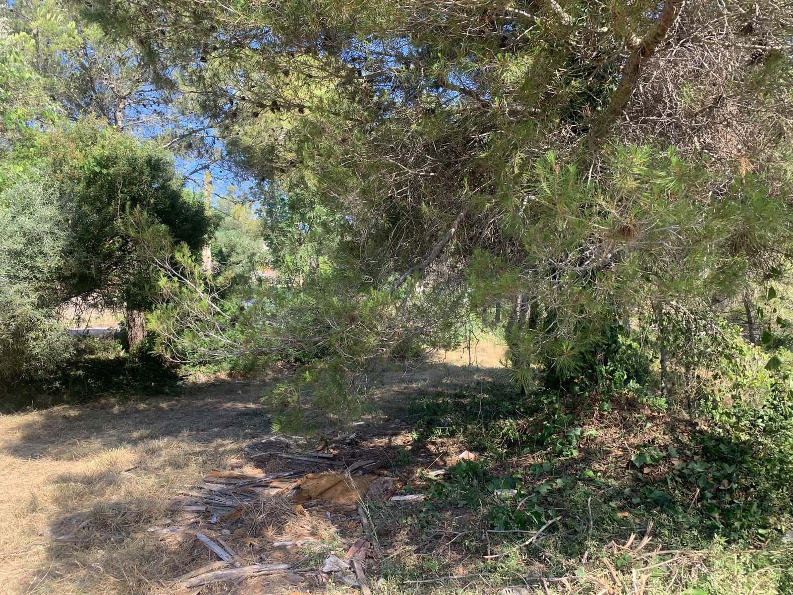 Bauplatz zu verkaufen in Canyelles - 75.000 € (Ref: 10065655)