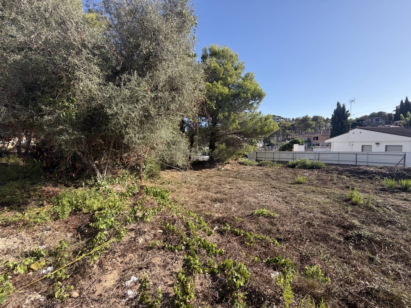 Building Plot for sale in Canyelles - € 75,000 (Ref: 10065655)