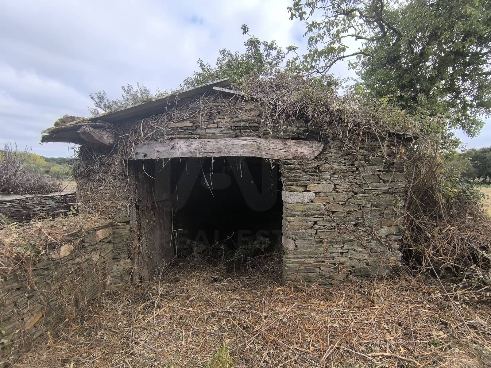 Finca/Casa Rural de 8 habitaciones en Outeiro de Rei en venta con garaje - 258.000 € (Ref: 10067062)