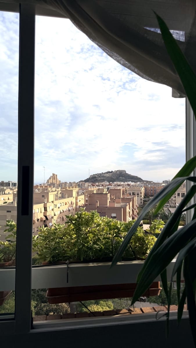 2 Zimmer Apartment zu verkaufen in Alicante / Alacant Stadt mit Pool - 270.000 € (Ref: 10067821)