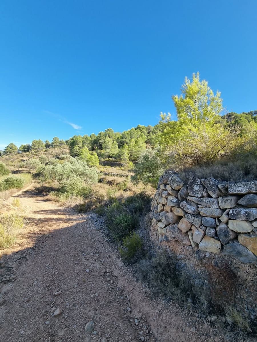 Terreno Não Urbanizado para venda em El Pinell de Brai - 20 000 € (Ref: 10071030)